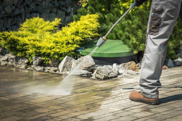 Best Spring Cleaning  in Plant City, FL