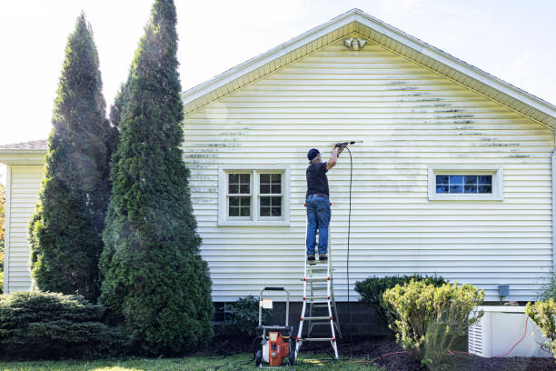 Best Graffiti Removal  in Plant City, FL